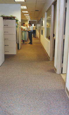Office hallway